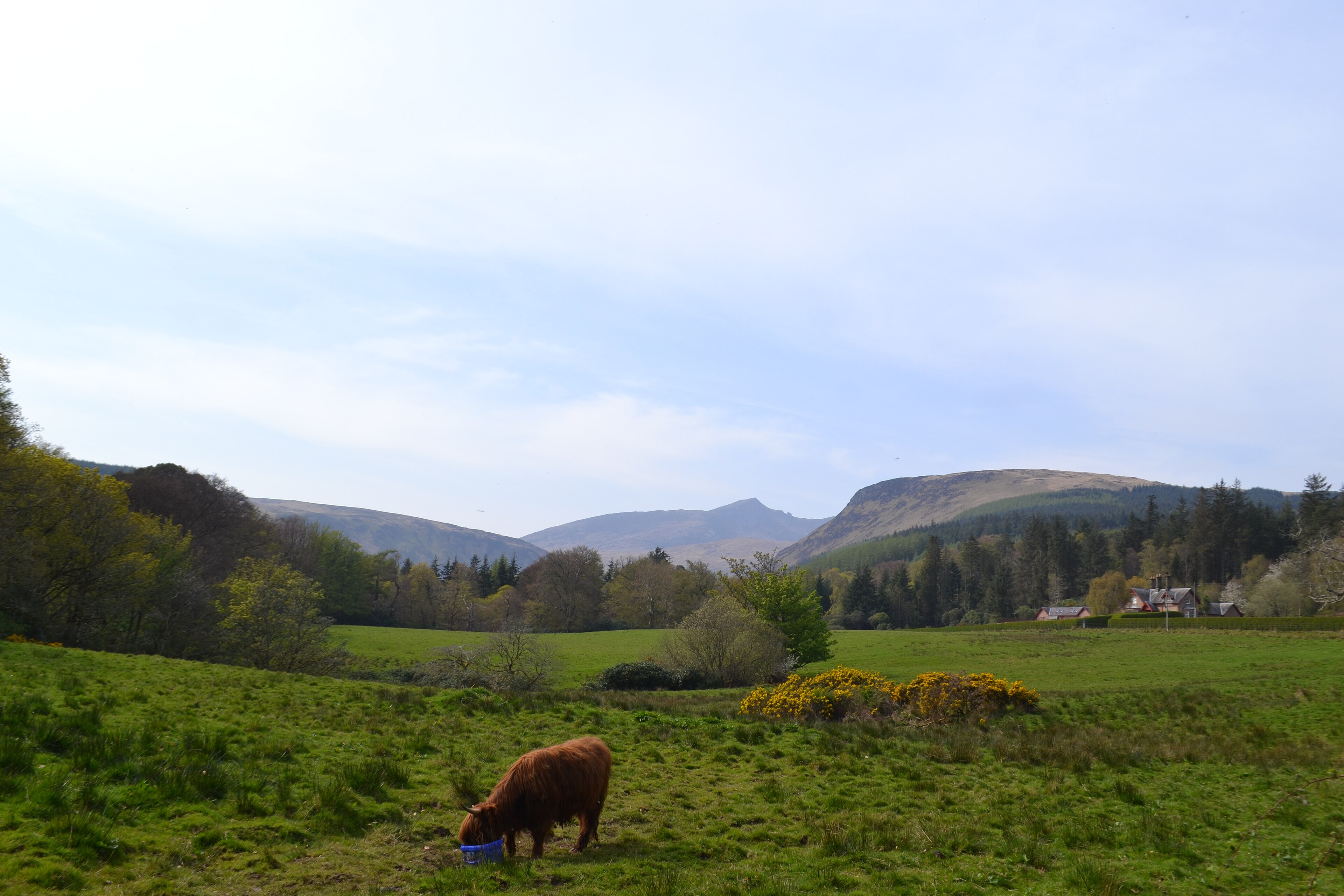 The path and grounds heading to Brodick Castle.